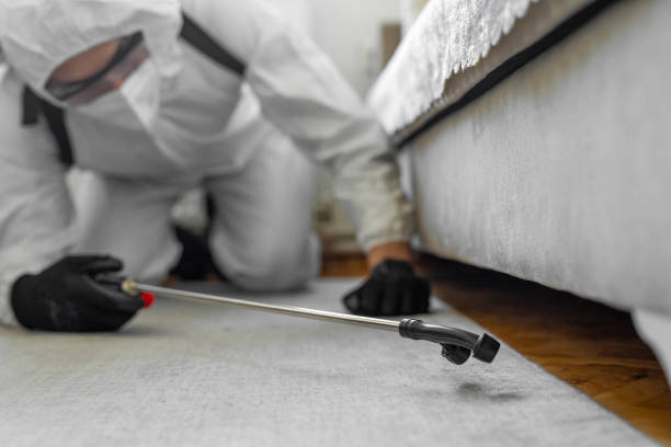 Professional Cockroach Control technician working in Anaheim, CA