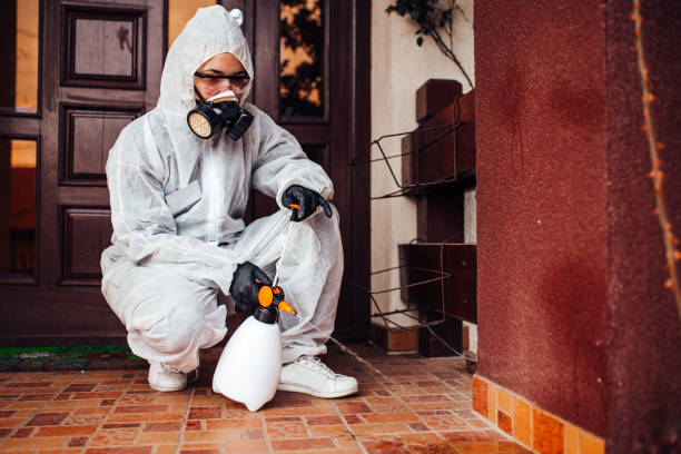 Reliable Cockroach Control contractor in Anaheim, CA by Nex Pest Control